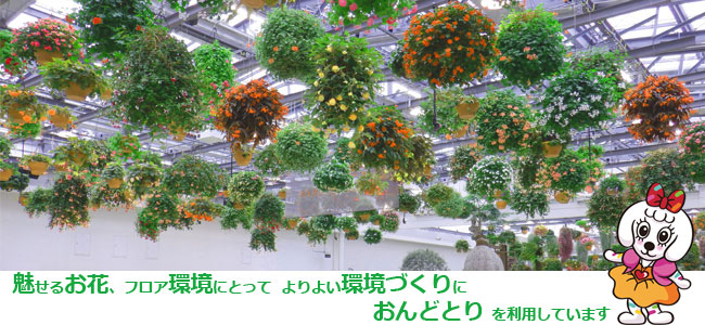 植物園内の梁の上に設置