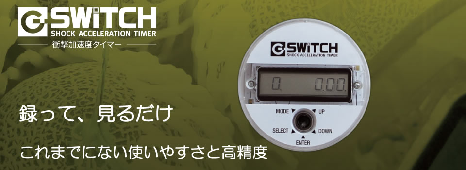 G-SWITCHは見るだけ